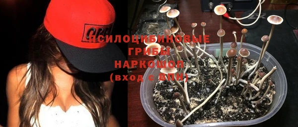 mix Абинск