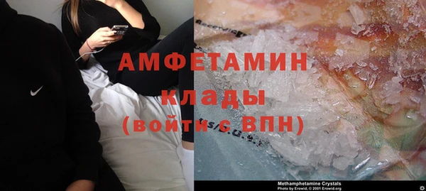 хмурый Осинники