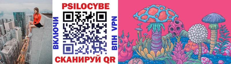 Галлюциногенные грибы Magic Shrooms  закладка  Шенкурск 