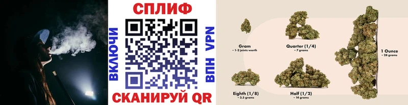 как найти   Шенкурск  Конопля White Widow 